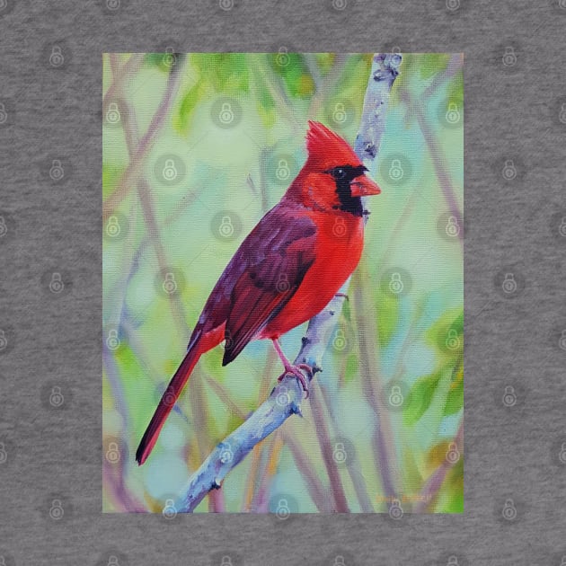 Northern Cardinal in Spring by EmilyBickell